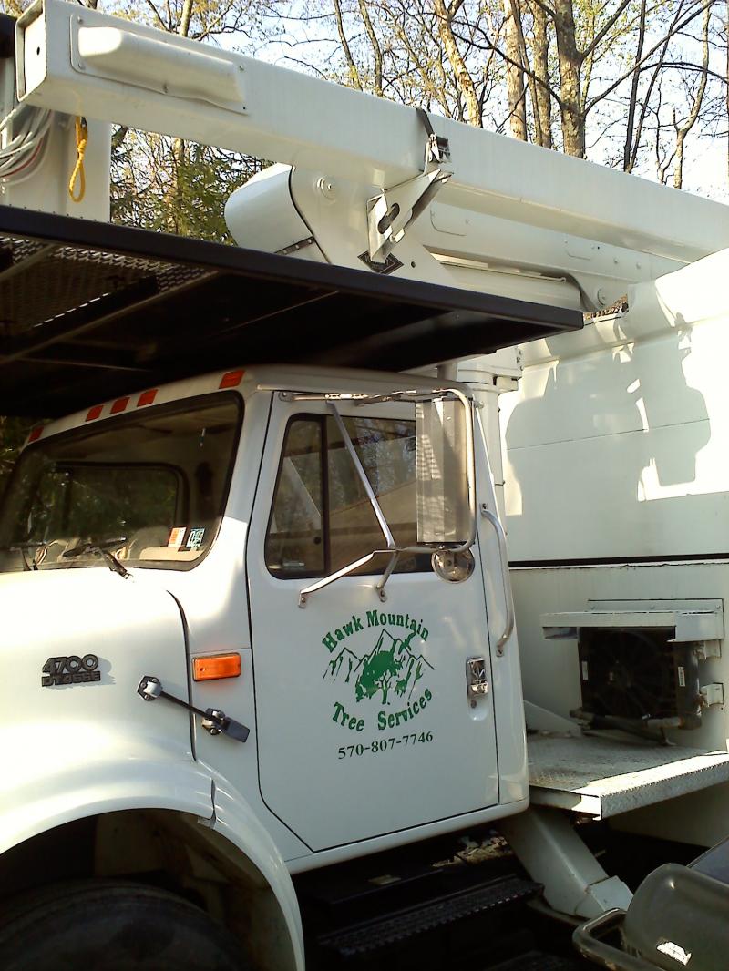Hawk Mountain Tree Service